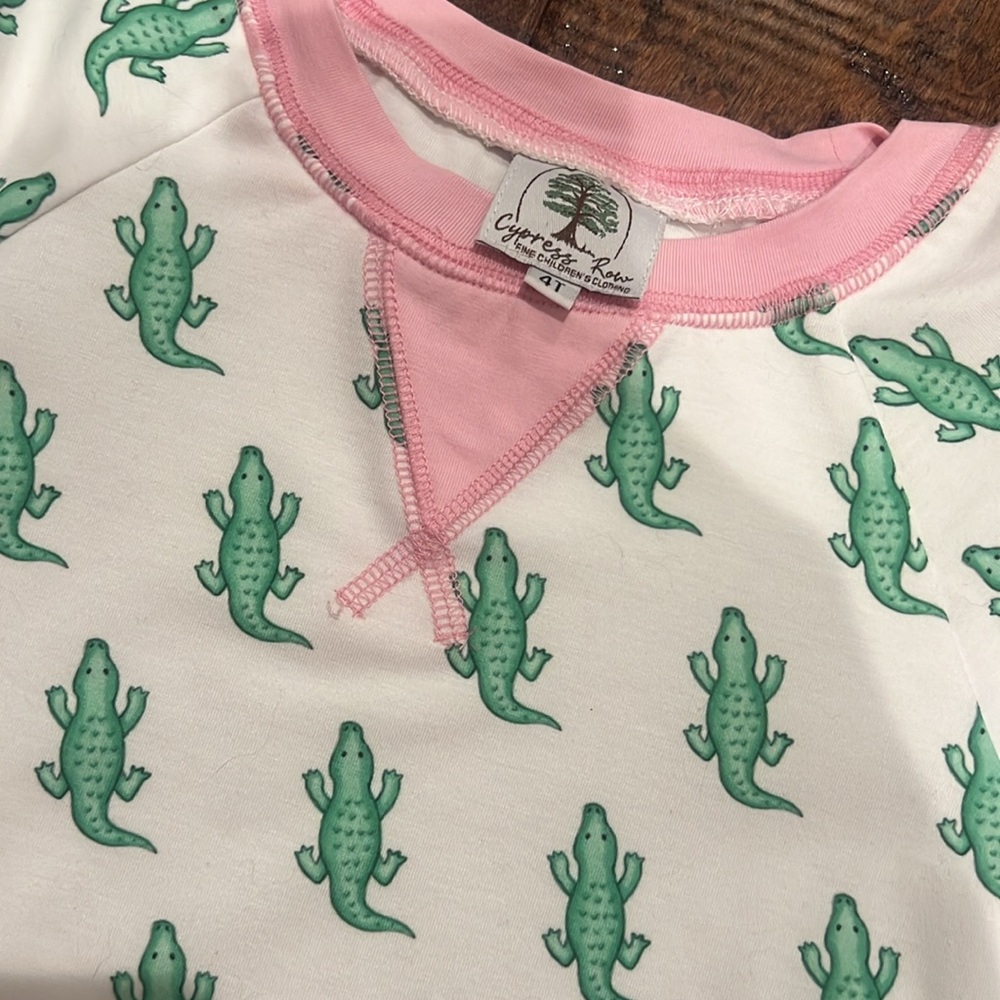 Adorable boutique pullover 4t
